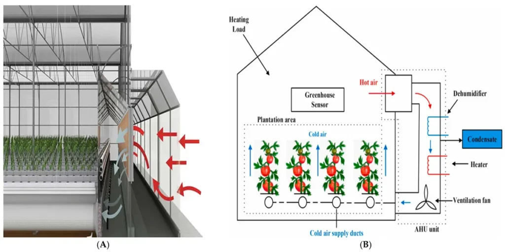 انتخاب ابعاد گلخانه بر اساس نوع محصول