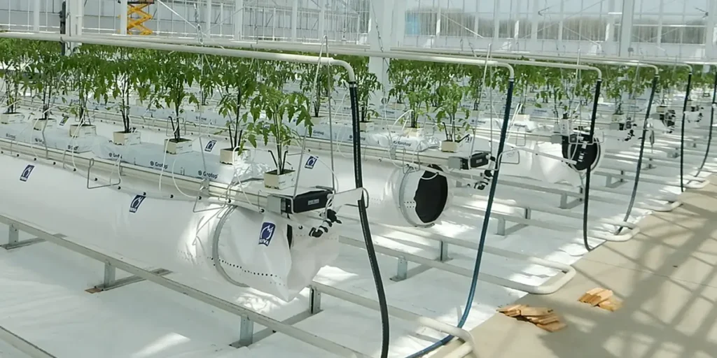 گلخانه صنعتی یا نیمه‌ صنعتی؟