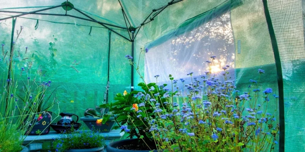 پوشش گلخانه