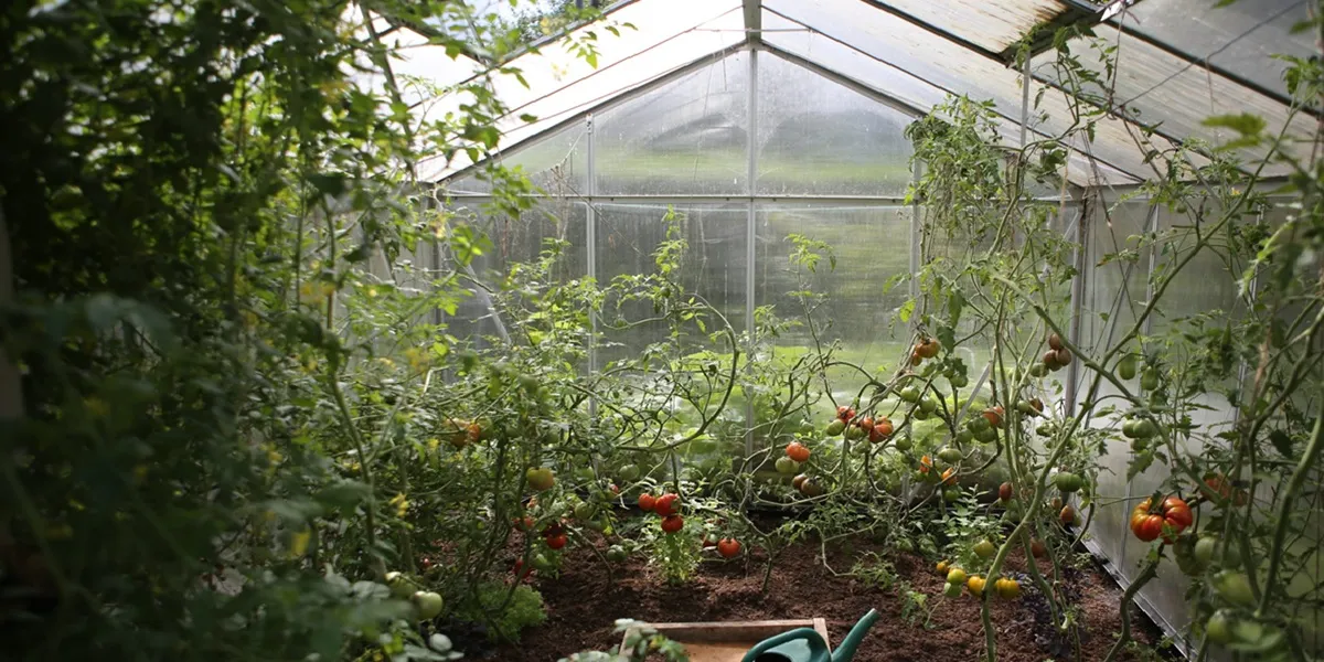 برق و اتوماسیون گلخانه