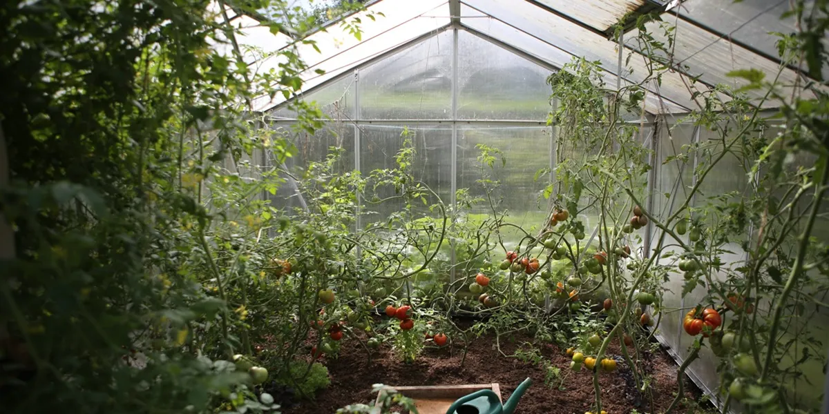 مواد ساخت گلخانه