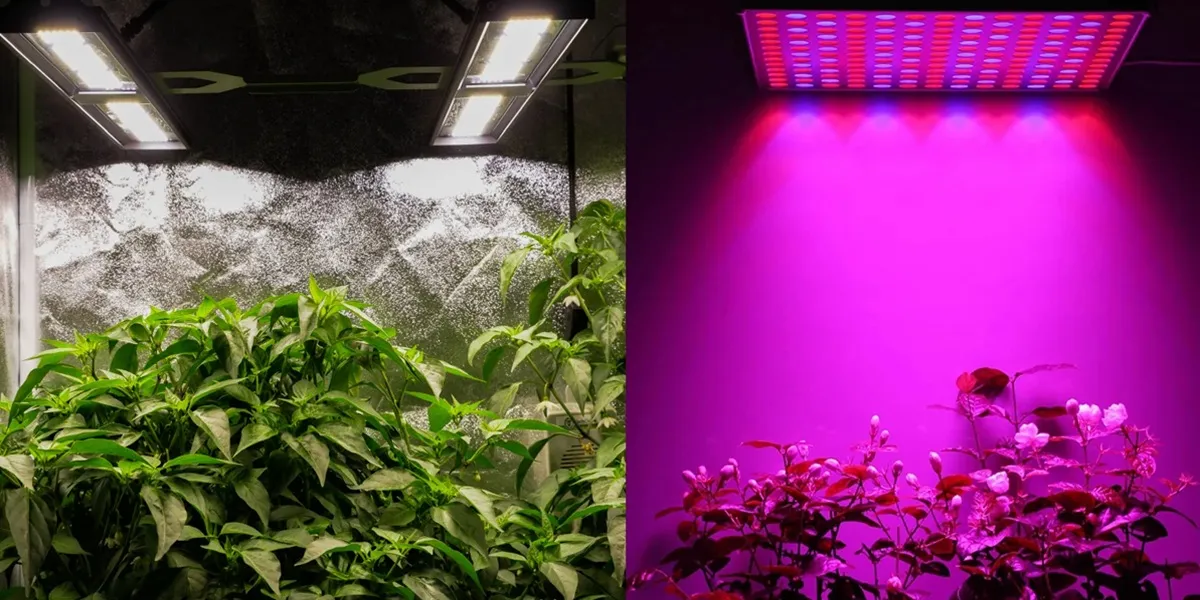 لامپ مهتابی برای رشد گیاهان