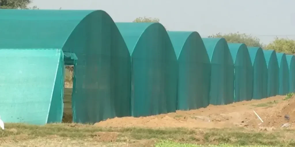 گلخانه نت هاوس