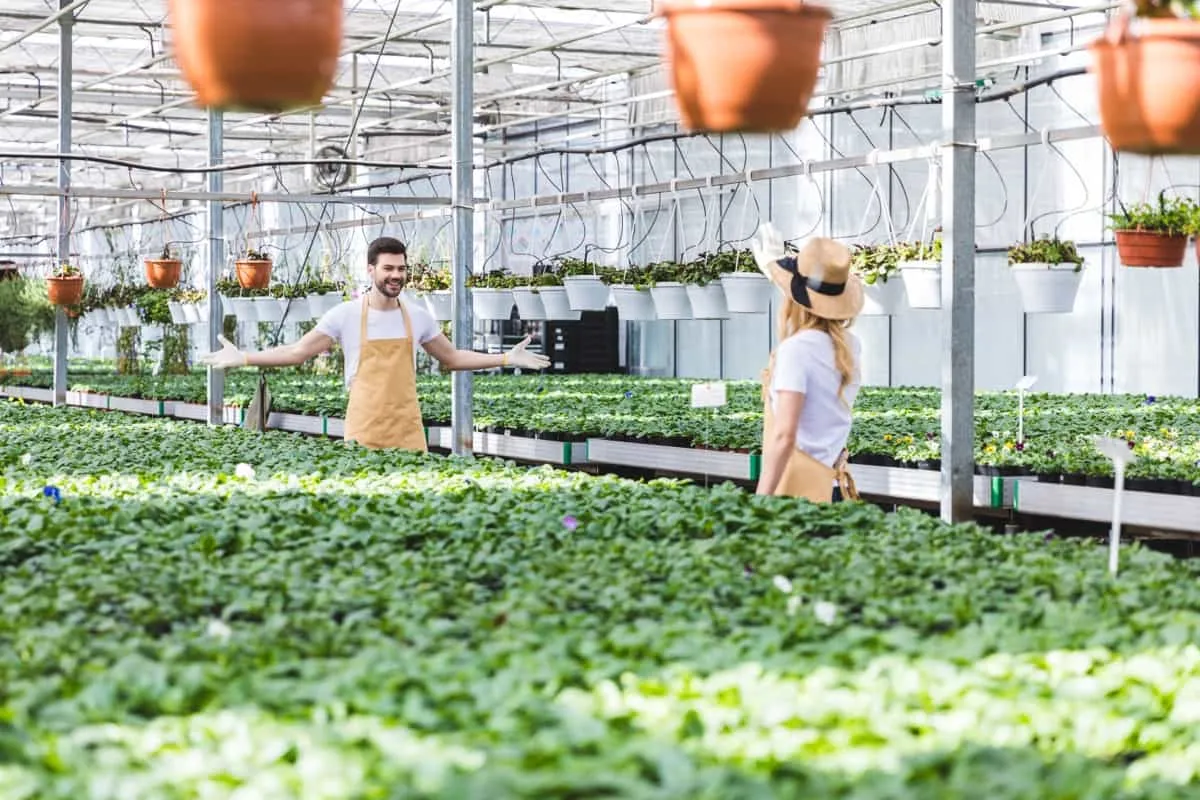 پرسودترین محصولات گلخانه ای